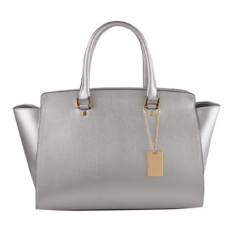 668711 SILVER (1)
